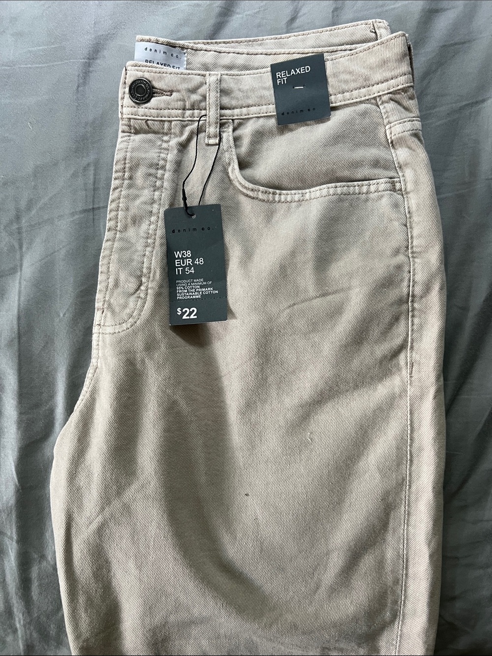 Relaxed Fit Beige Pants - W38